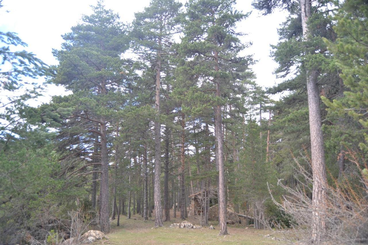 דירות Sierra De Gúdar מראה חיצוני תמונה