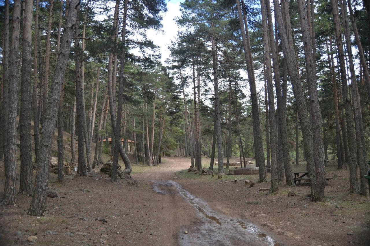 דירות Sierra De Gúdar מראה חיצוני תמונה